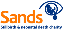 Sands Logo